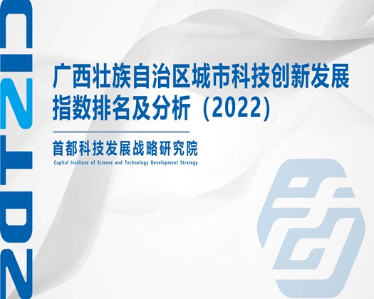 美女操逼大片【成果发布】广西壮族自治区城市科技创新发展指数排名及分析（2022）